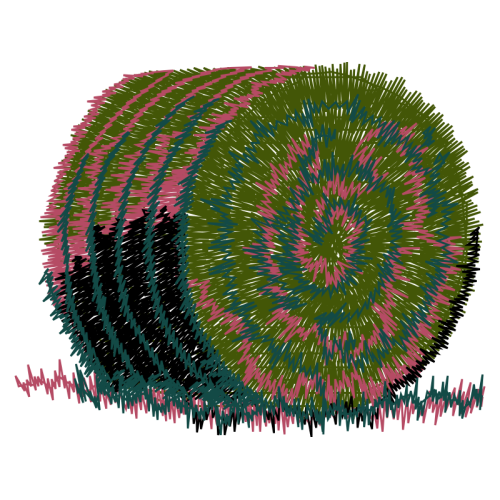 Circle Other Circle Other