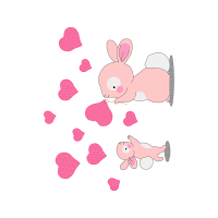 Domestic Rabbit Other