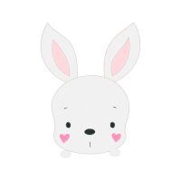 Domestic Rabbit Other