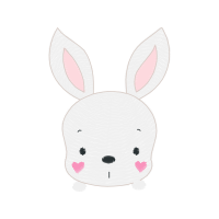 Domestic Rabbit Other