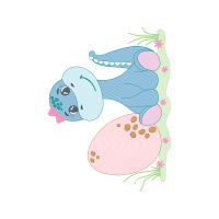 Drawing Other Drawing Other