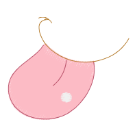 Earring Other Earring Other