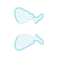 Flatfish Other