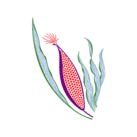 Illustration Other Illustration Other