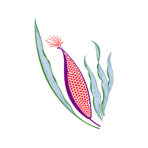 Illustration Other Illustration Other