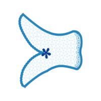 Lace Other Lace Other