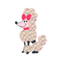 Miniature Poodle Other