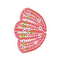 Plate Other Plate Other