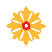 Snowflake Other Snowflake Other