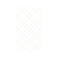 Triangle Other Triangle Other