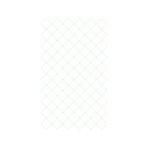 Triangle Other Triangle Other