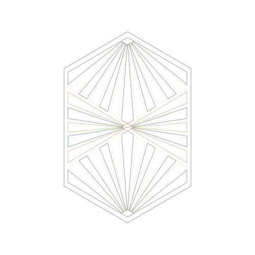 Triangle Other Triangle Other