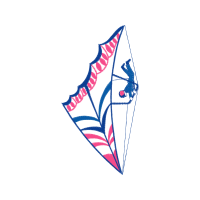 Triangle Other Triangle Other