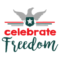 Accipitriformes Other