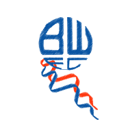 Bolton Wanderers F C Other