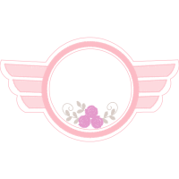 C D Jorge Wilstermann Other