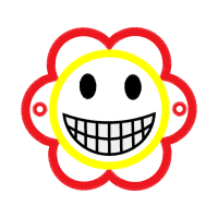 Donquixote Doflamingo Other