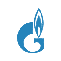 Gazprom Pao Other