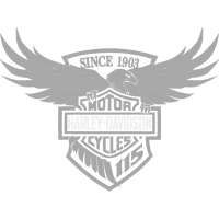 Harley Davidson Other