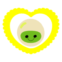 Home Inspection Other