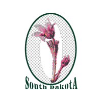 Portable Network Graphics Other