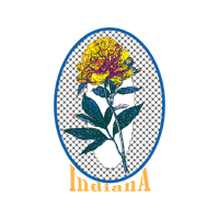 Portable Network Graphics Other