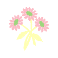 Shree Rani Satiji Mandir Jhunjhunu Other