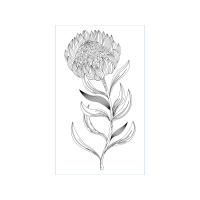 Tbilisi State Academy Of Arts Other