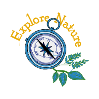 Tres Por Cuatro Other