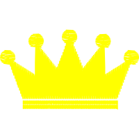 University Of Delhi Other