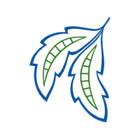 Vector Graphics Other