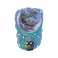 Bufflehead Other Bufflehead Other