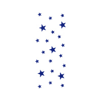 Centrist Alliance Other Centrist Alliance Other