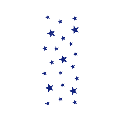 Centrist Alliance Other Centrist Alliance Other