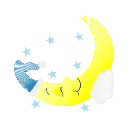 Certified Public Accountant Other Certified Public Accountant Other