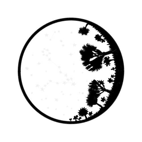 Circle Other Circle Other