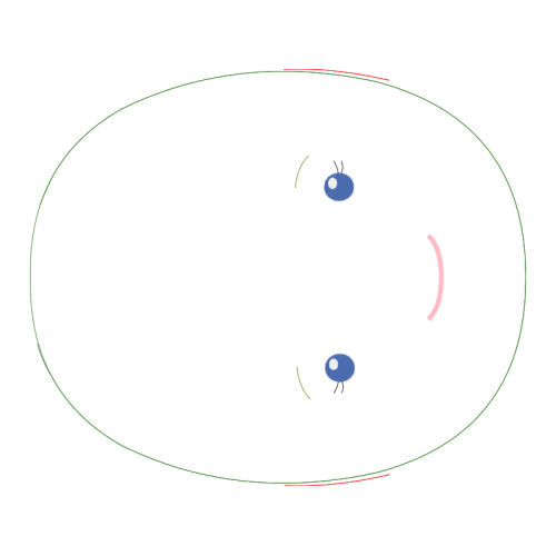 Circle Other Circle Other