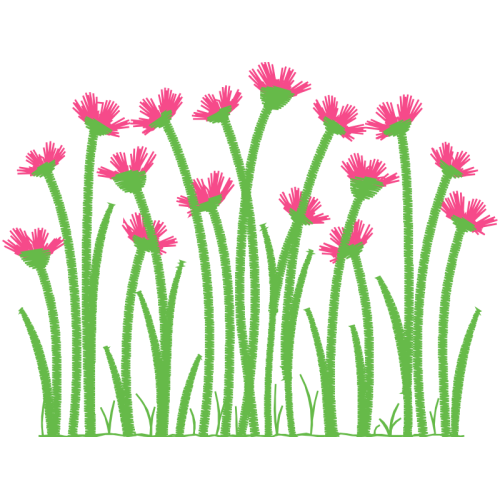 Creeping Thistle Other Creeping Thistle Other