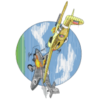 Curtiss P 40 Warhawk Other