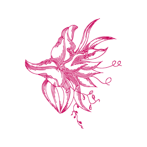 Drawing Other Drawing Other