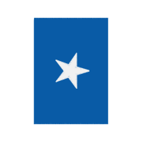 Flag Other Flag Other