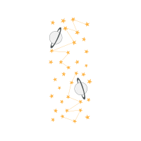 Gossamer Winged Butterflies Other