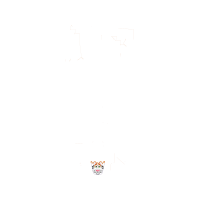 Night Other Night Other