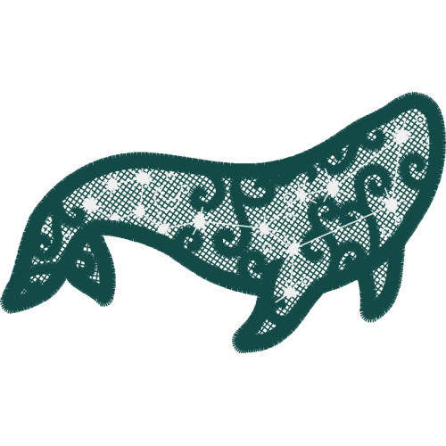 Puma Other Puma Other