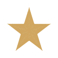 Purple Other Purple Other