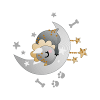 Sacalady Th I Trang Vnxk Other Sacalady Th I Trang Vnxk Other