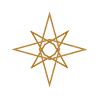 Shape Other Shape Other