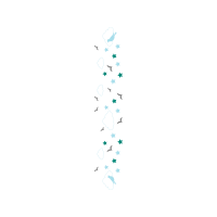 Sketch Other Sketch Other