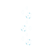 Sketch Other Sketch Other