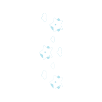 Sketch Other Sketch Other